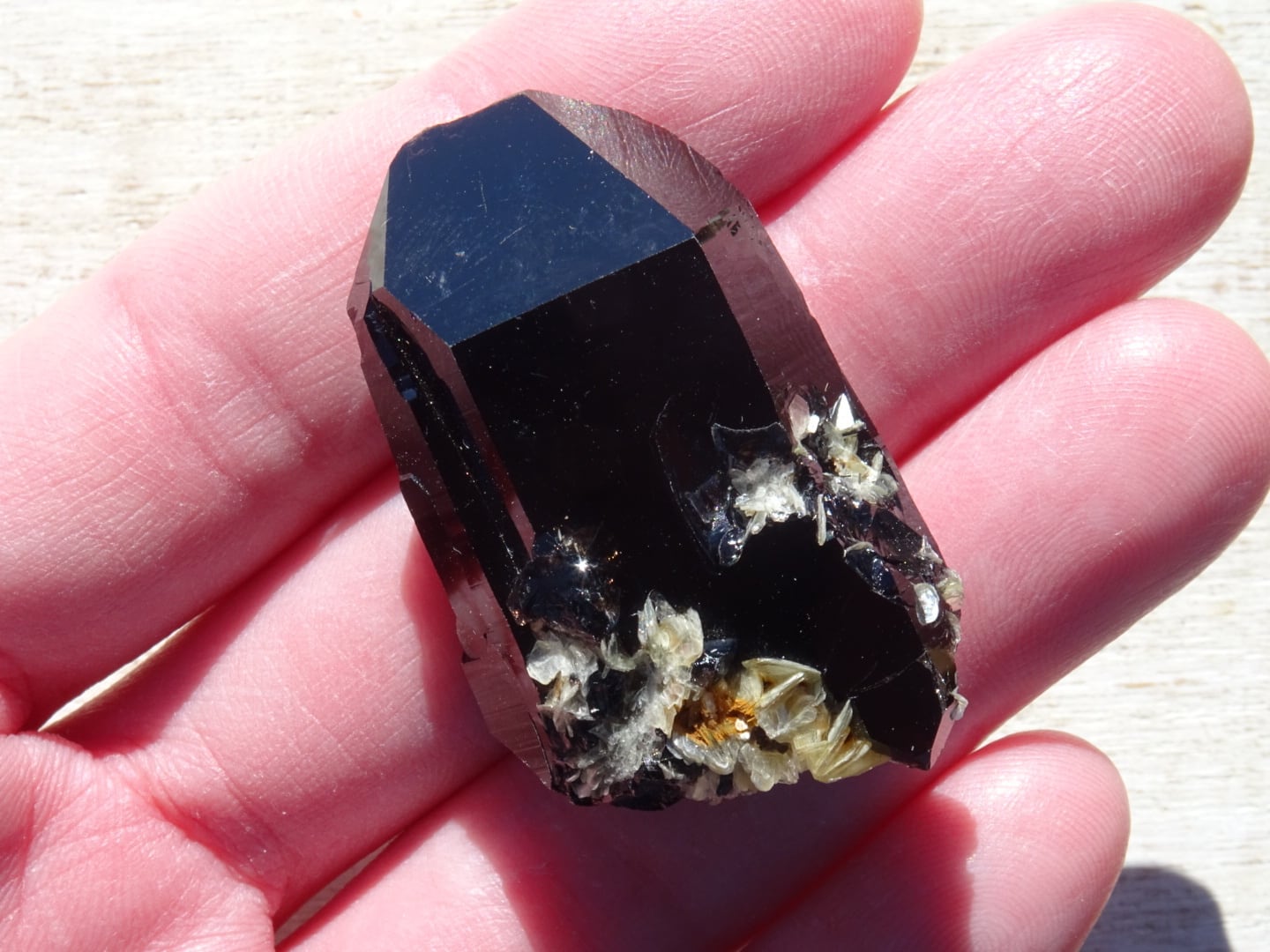 スーパーモリオン（天然） | 虹石屋