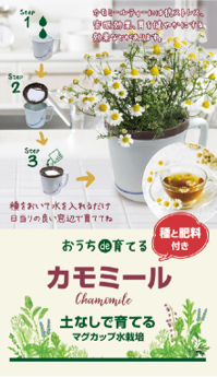 マグカップ水栽培 ハーブ野菜シリーズ「カモミール」送料込(種有効期限 2025年2月末)