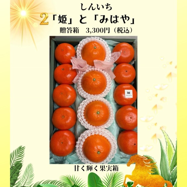 熊本県上天草産「しんいち姫」と「しんいちみはや」セット