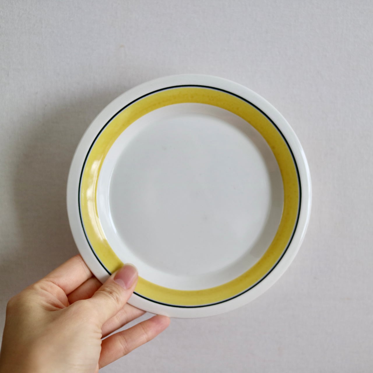 アラビア ファエンツァ Faenza 26cmディナープレート ペア②レア ARABIA faenza ファエンツァ 26cm ディナープレート 2枚 DE