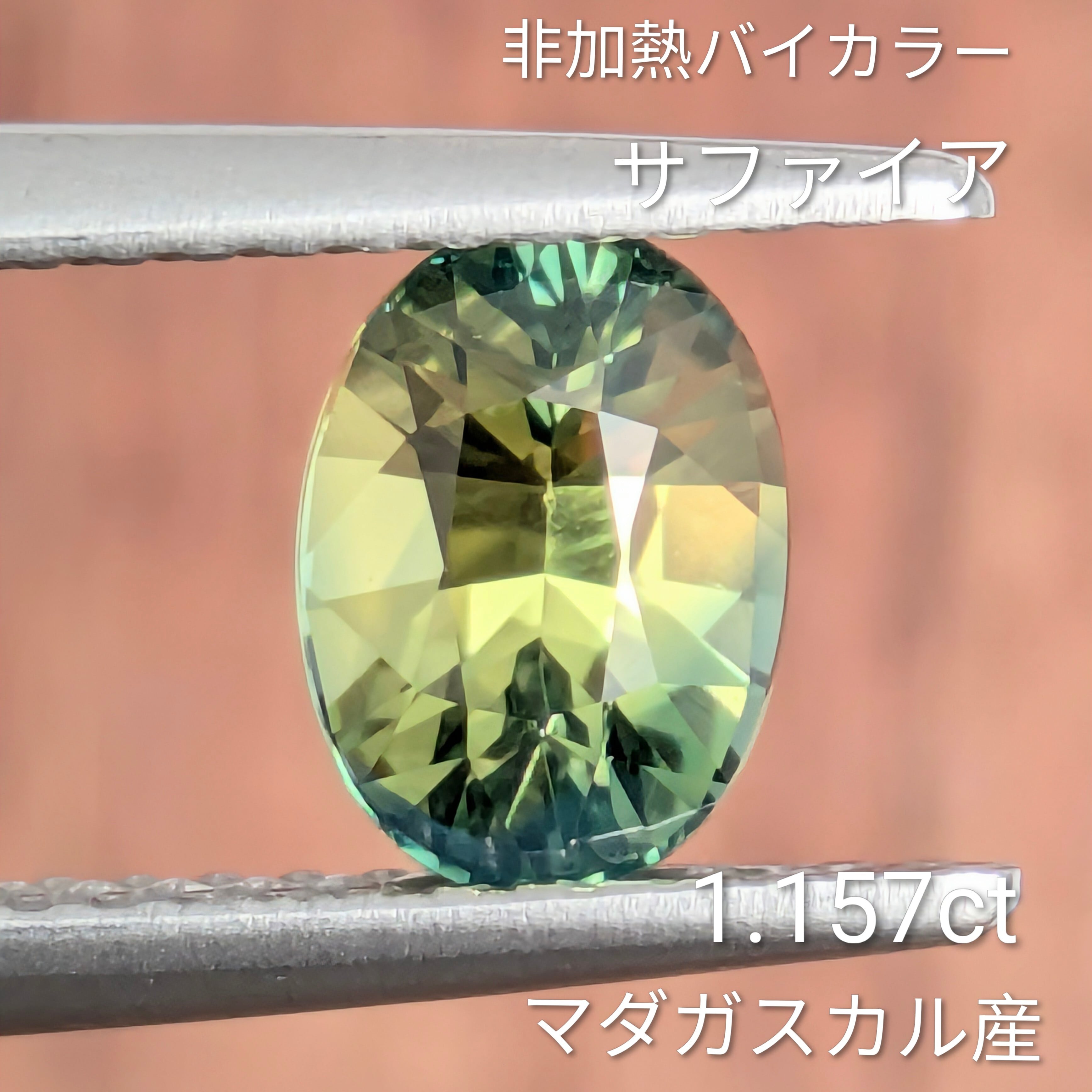 さふぁい 566305_in_1000x1000.jpg