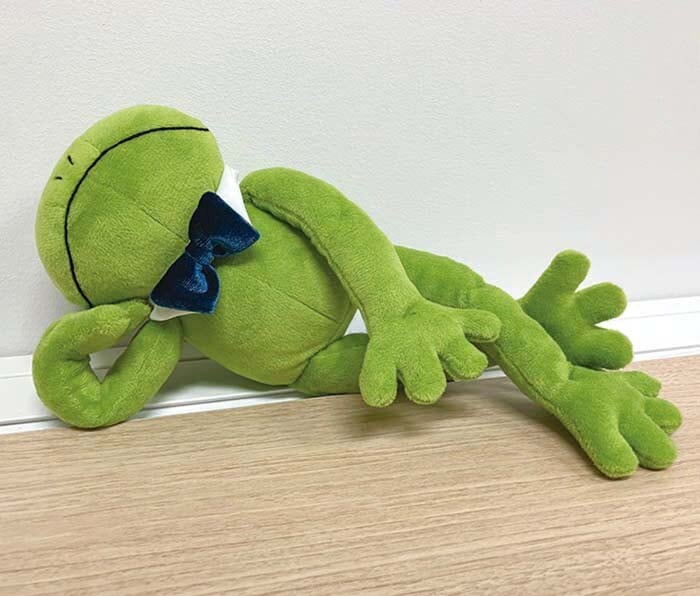 カエルのブリトー S グリーン モンスイユ Original Soft Toy | 雑貨と