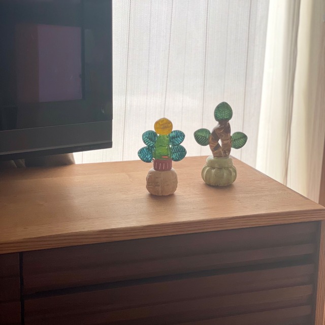 常盤 杏奈 glass plant-5