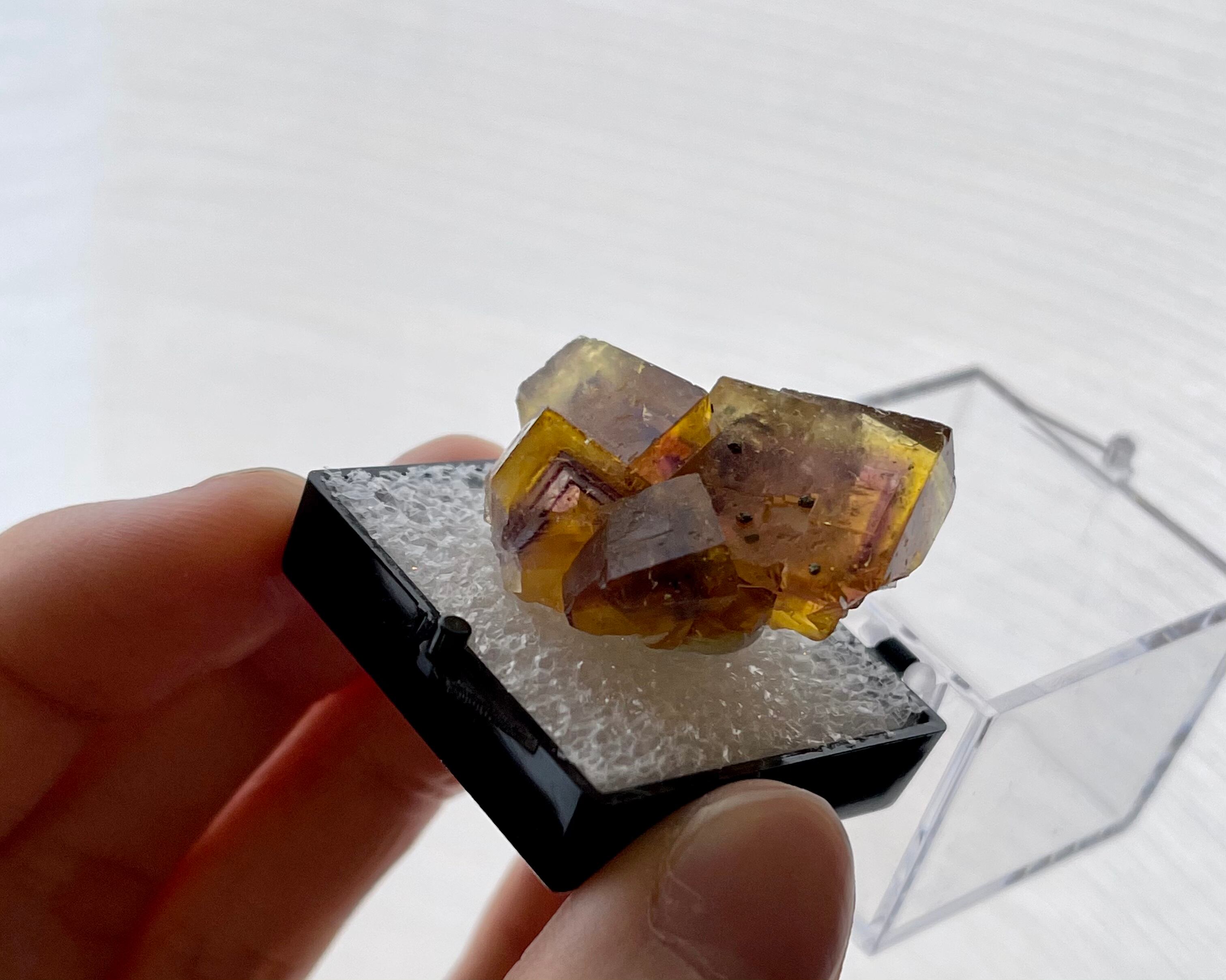 フローライト / パイライト【Fluorite with Pyrite】ドイツ産