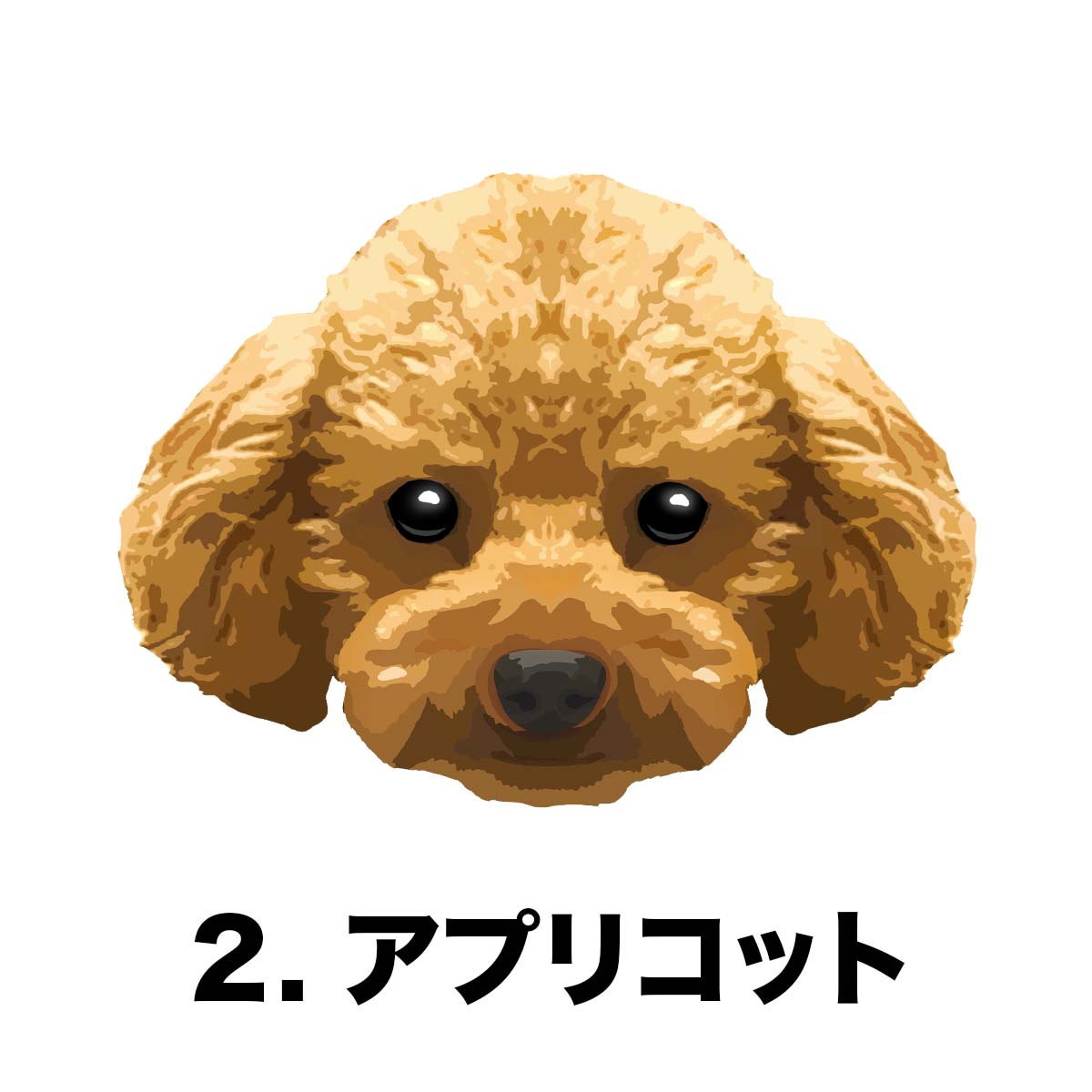 トイプードル 毛色7色 】 タオルハンカチ ピンク＆ブルー2枚セット