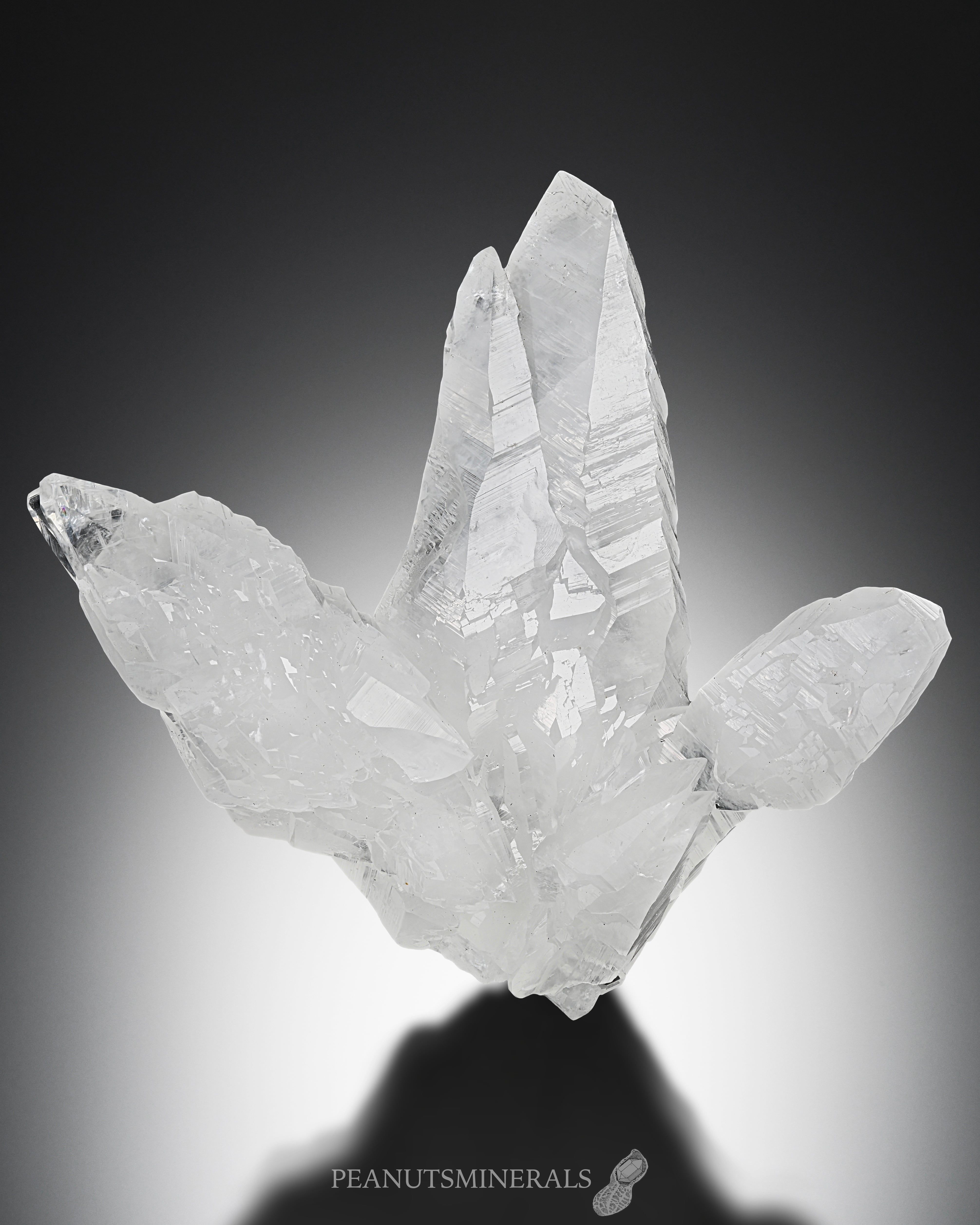 アラゴナイト【Aragonite】メキシコ産 | PEANUTS MINERALS