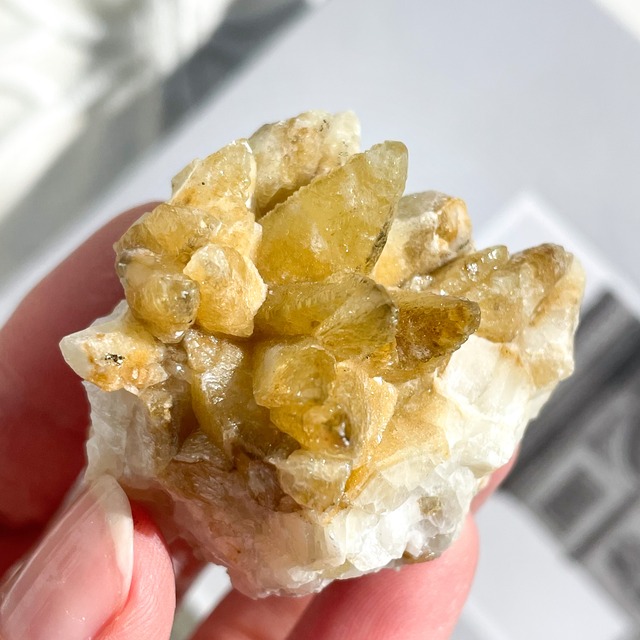 Pyrite on Yellow Calcite 2 (共生原石)