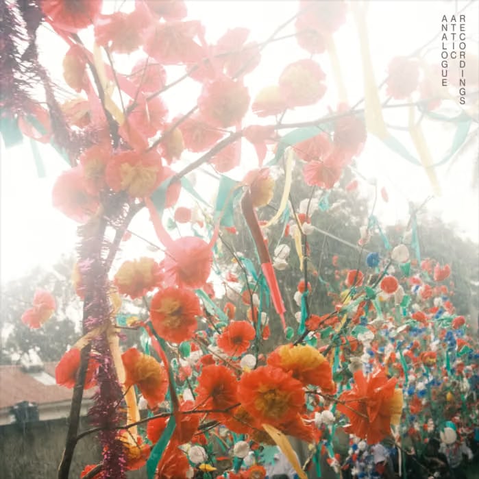 【LP】Alex Albrecht - Hiriketiya