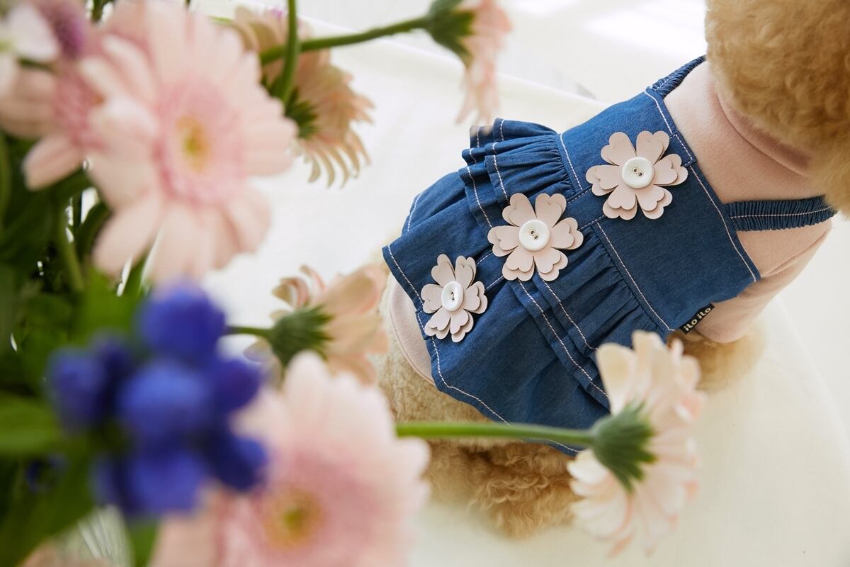 《予約》IL0015 Cosmos Denim Petit Dress