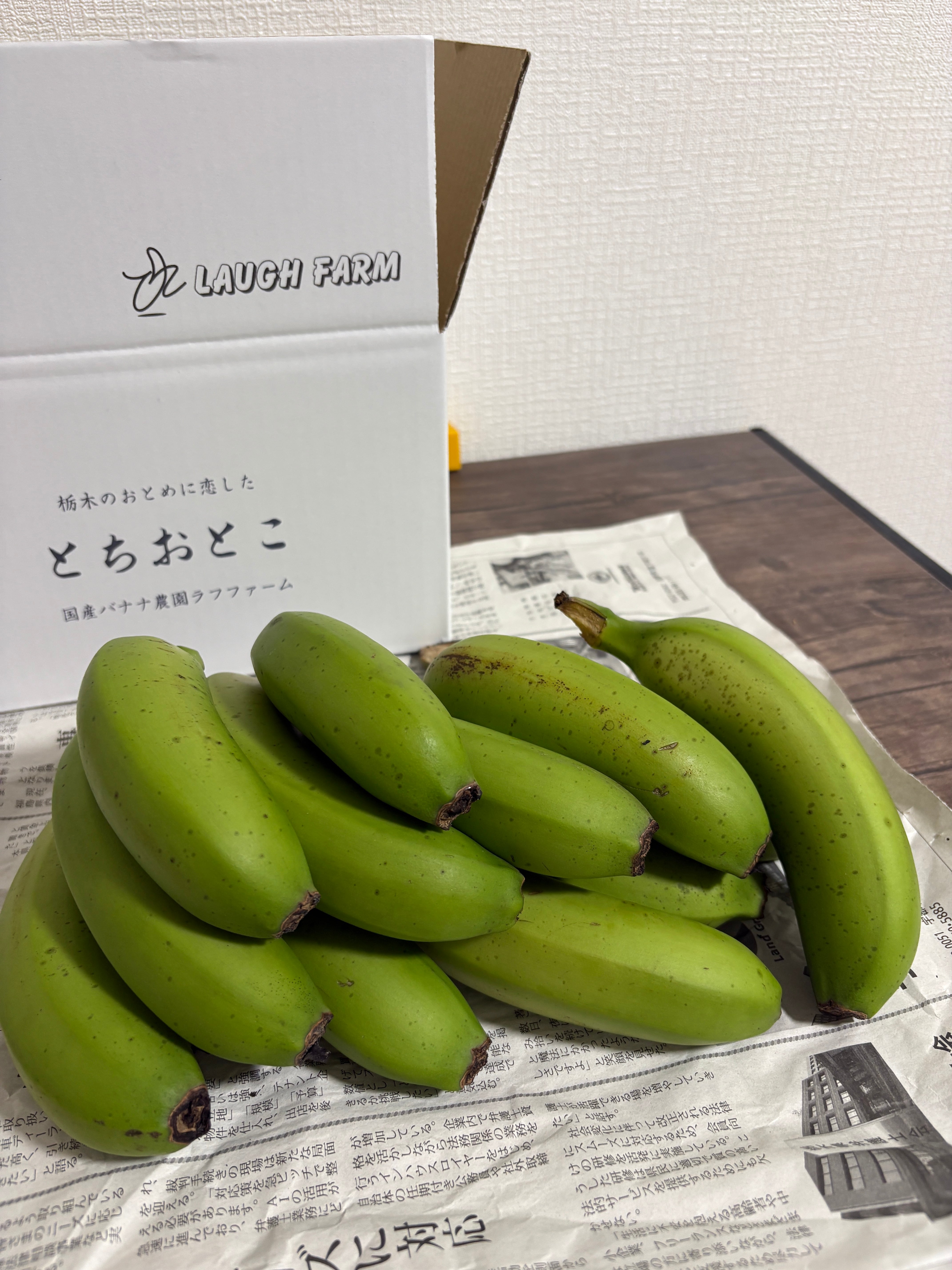 国産バナナ農園ラフファーム