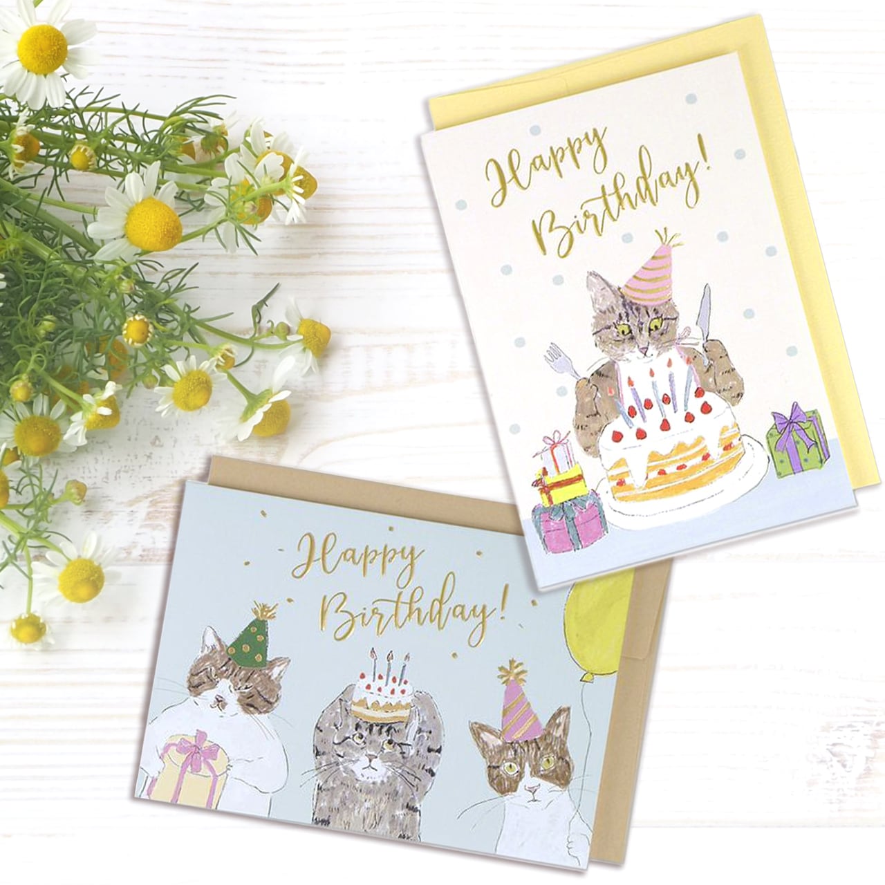猫 バースデーカード 誕生日 カード ねこ柄 かわいい おしゃれ 封筒付き 保護猫【148】