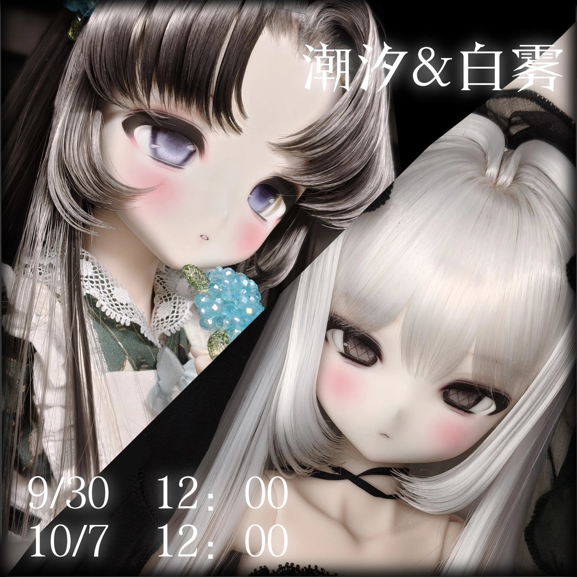 本体・ボディ・フルセット | miodollmio
