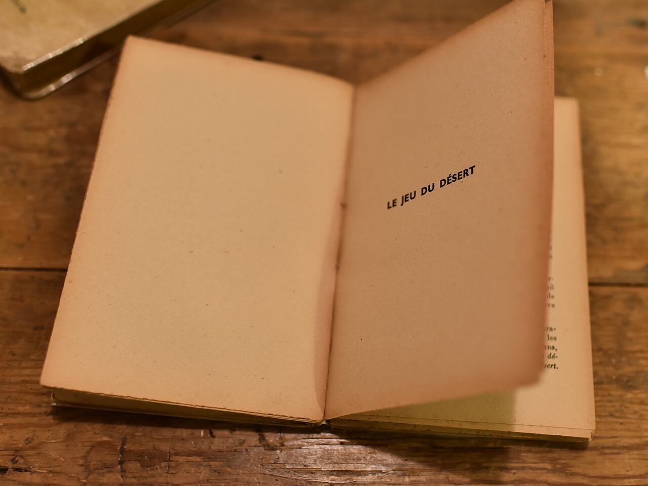 Journal de bord 古い風合いが素敵な日記本  フレンチブロカント
