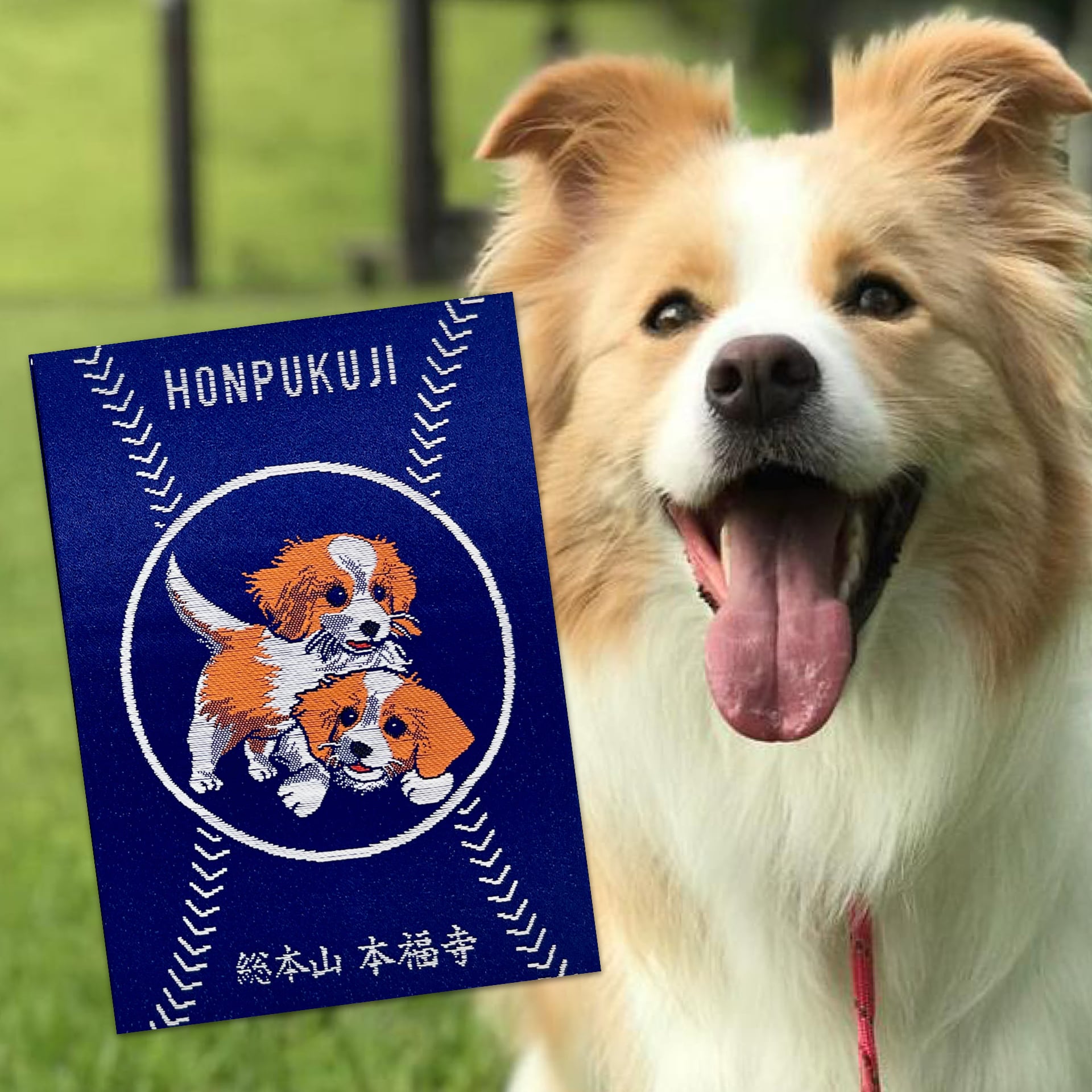 癒しの犬ワンちゃん 本福寺オリジナル御朱印帳 | honpukuji online site