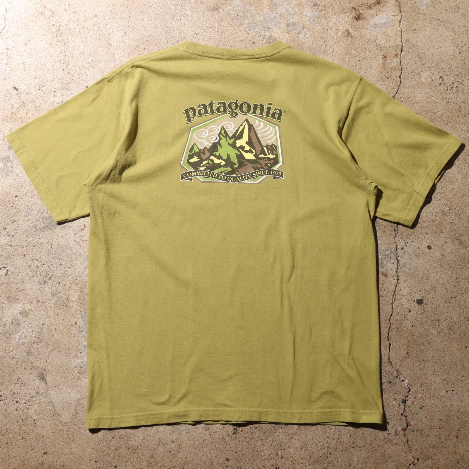 美品　パタゴニア　シャツ 極美品 M アボカドグリーン Patagonia ベネフィシャルTシャツ