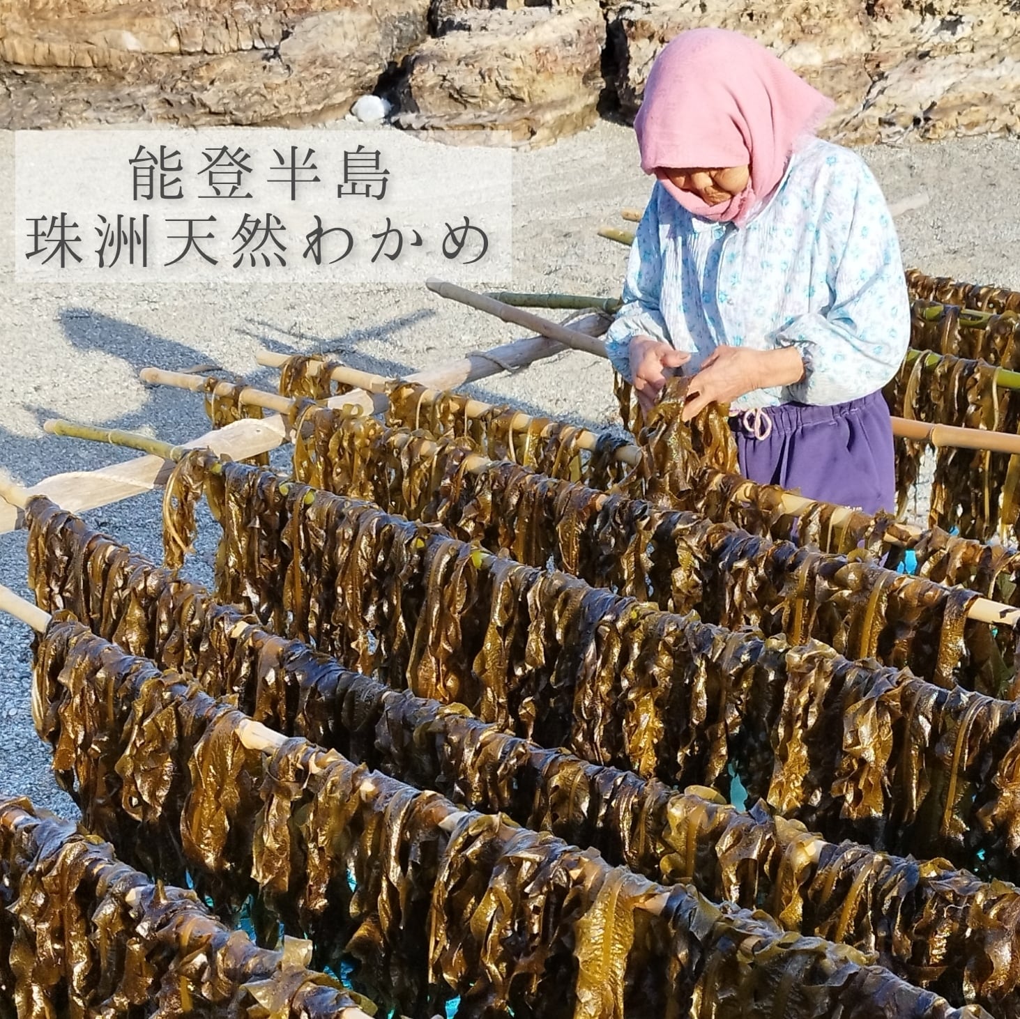 珠洲天然わかめ　45ｇ