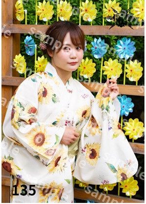 叶ミク ポートレート 各種 134〜137新作