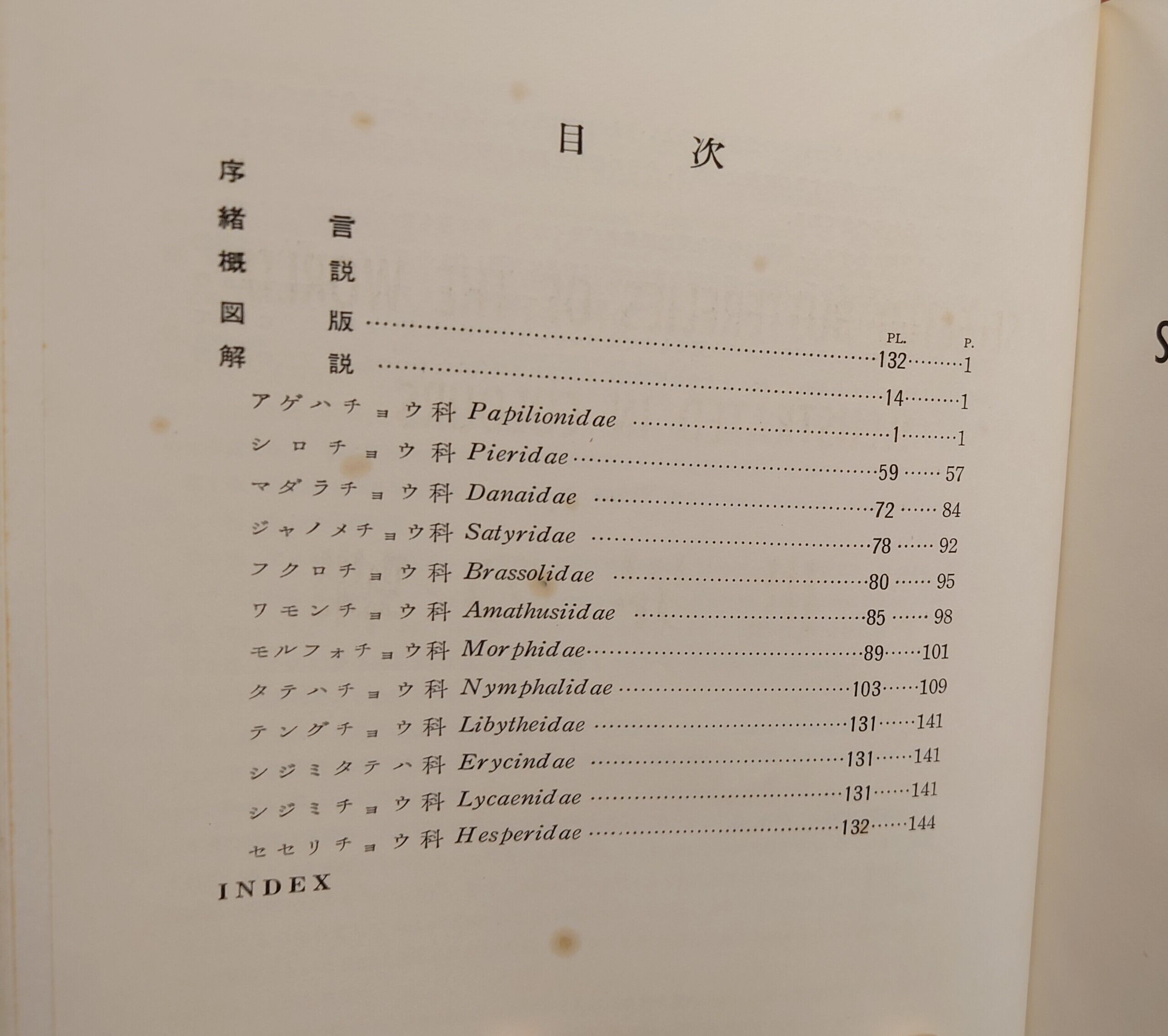 原色図鑑 世界の蝶 | 弥生坂 緑の本棚 原色図鑑 世界の蝶 | 弥生坂 緑の本棚