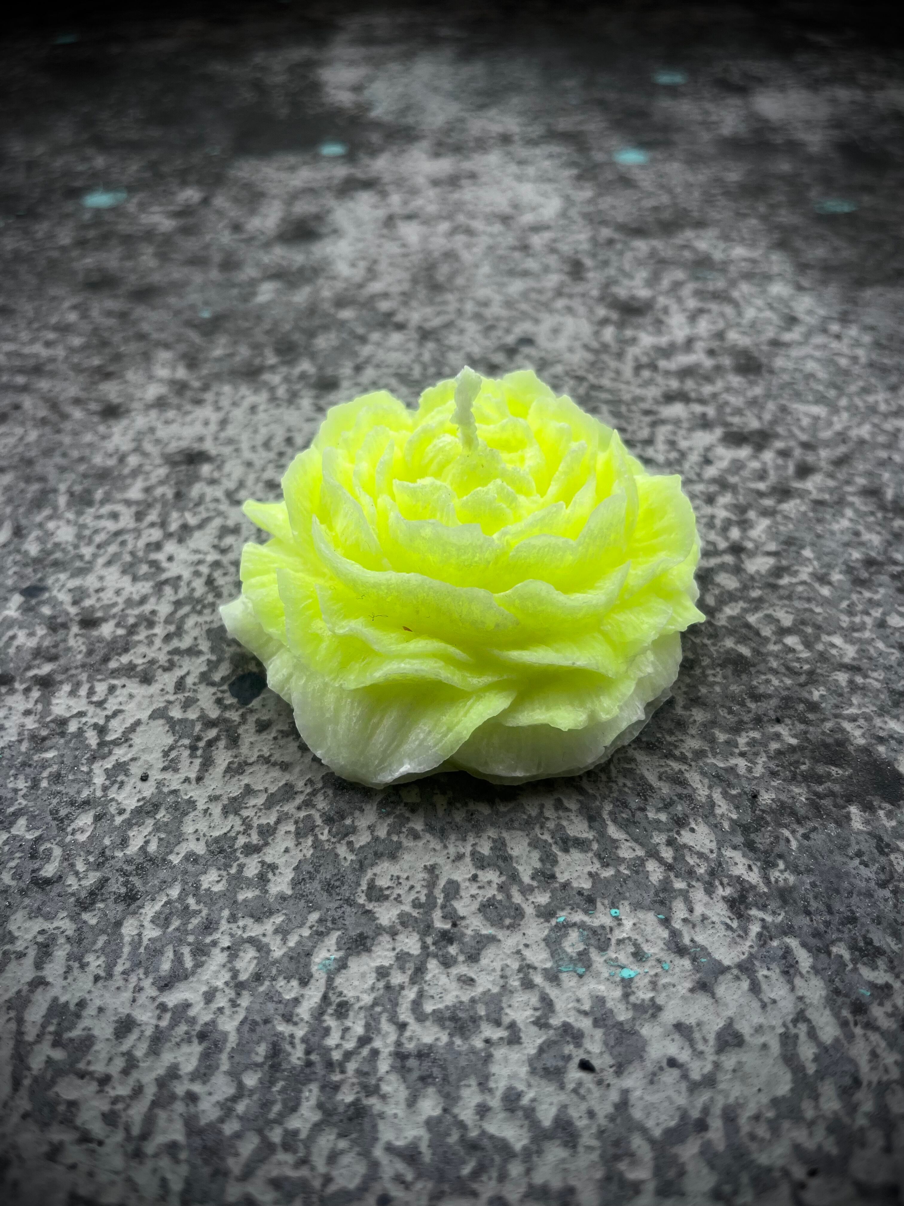 CANDLE FLOREALE