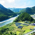 ［期間限定］生にんにく500g（農薬・化学肥料・除草剤不使用）