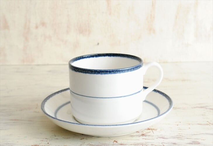 Rorstrand ロールストランド Fjord 大きめ カップ＆ソーサー