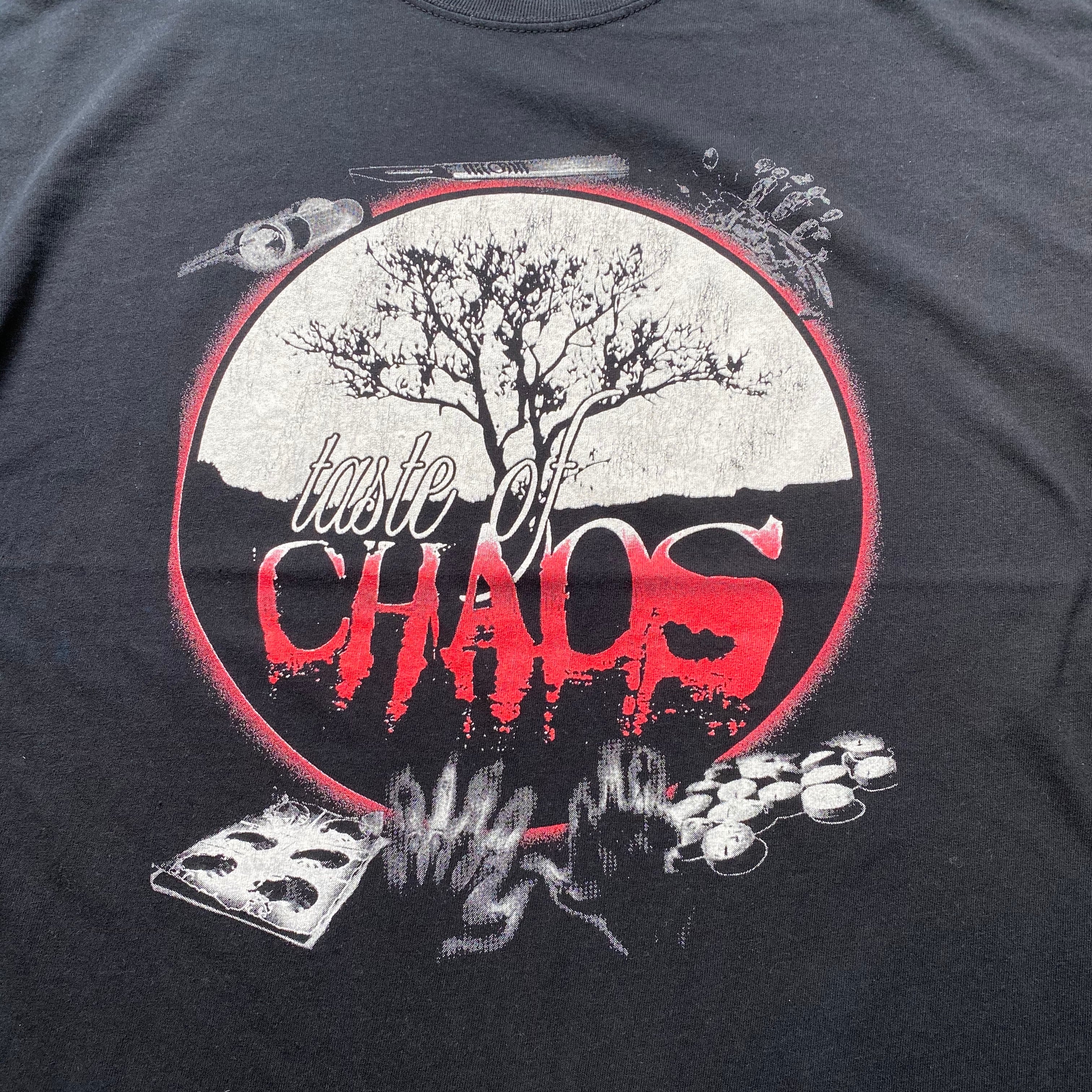 taste of CHAOS 2005 フェス ツアー バンドTシャツ メンズXL 古着 【T