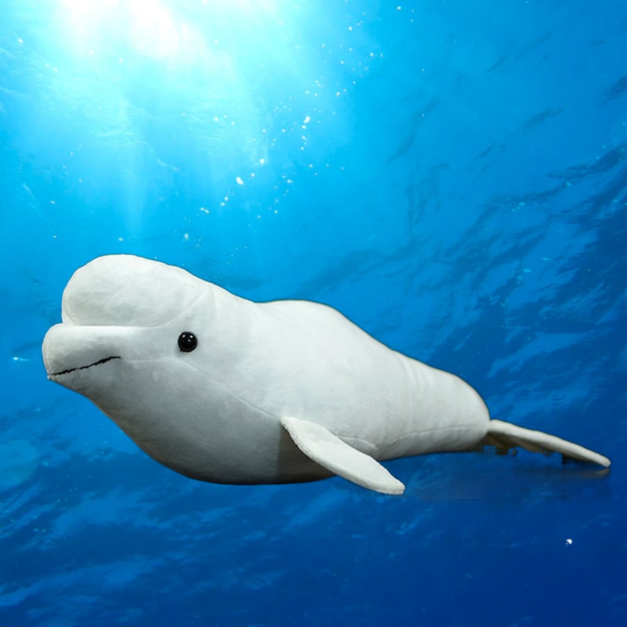 【匿名配送】くったり ぬいぐるみBIG ジャイアント ベア MEGA シロイルカ Amazon.co.jp: [Noopior]大きい シロイルカ ぬいぐるみ 抱き枕