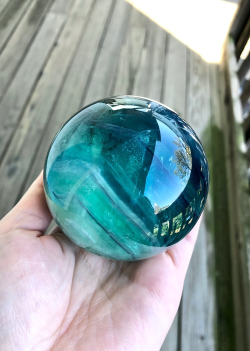 もう許してあげよう