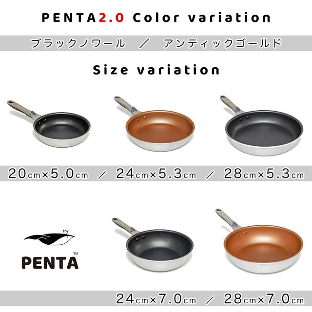 フライパン 24cm×5.3cm IH直火兼用 ブラックノワール 王様フライパンPENTA 2.0（ペンタ）