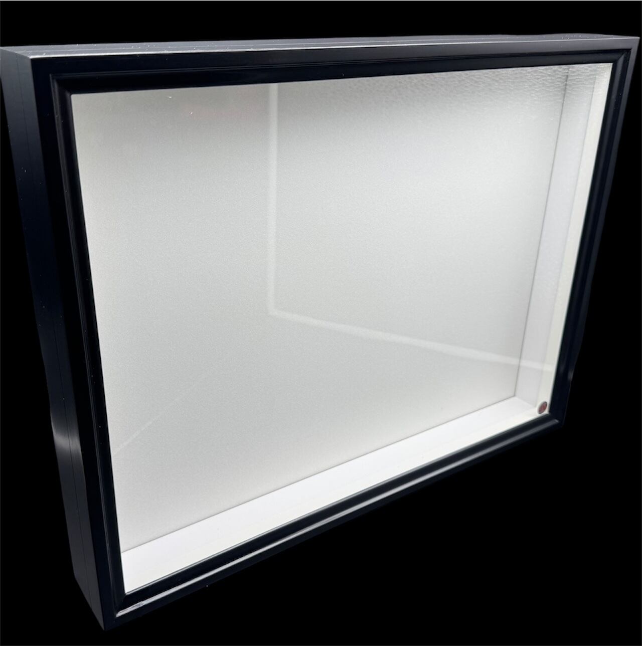 標本 | KPW公式オンラインショップ