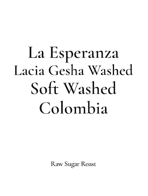 Colombia | La Esperanza -Lacia Geisha Washed-