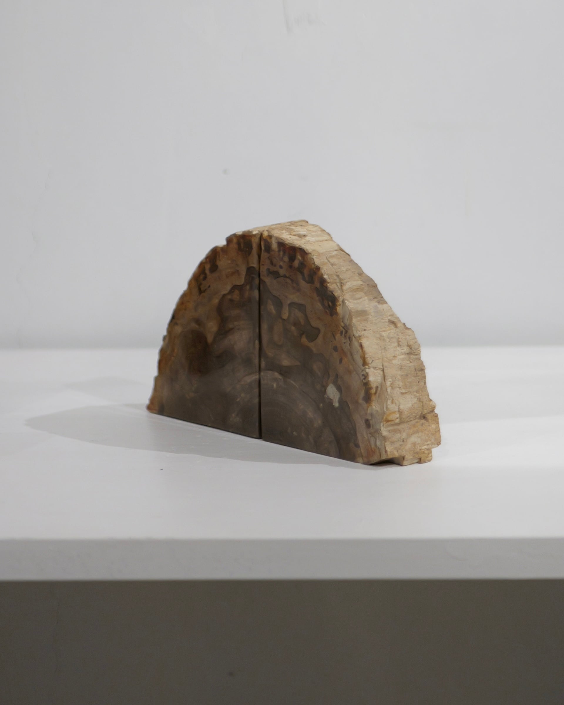 OAK Petrified Wood - Book End #001 ：Natural｜珪化木／一点もの