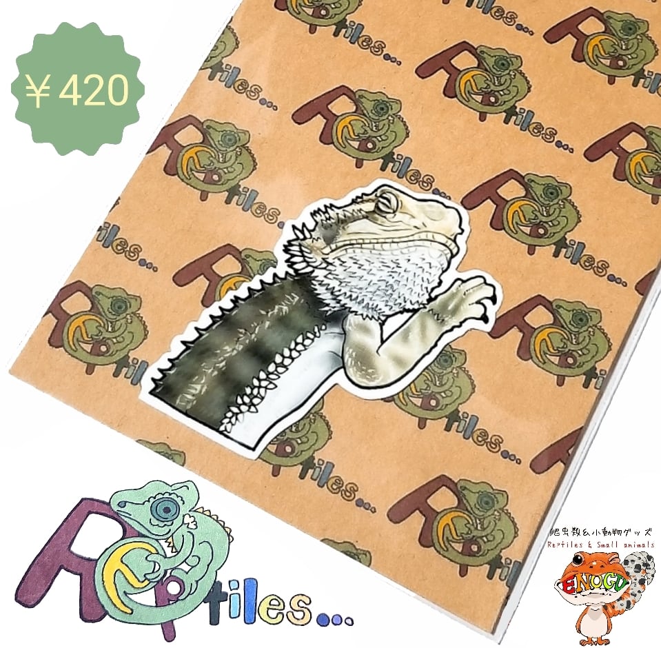トカゲ | 爬虫類のステッカーや雑貨、Tシャツなどのグッズ専門店 ENOGU