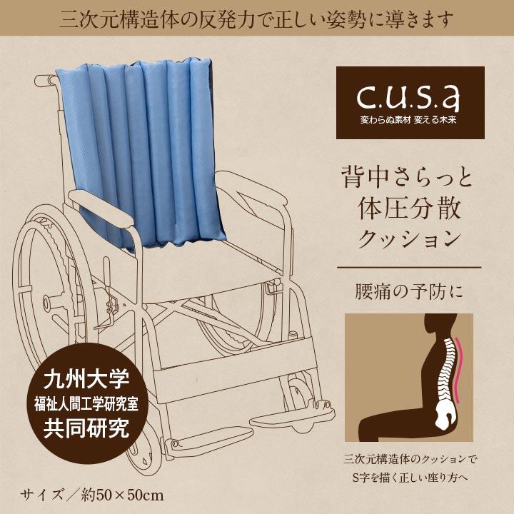 【期間限定10%OFF】洗える 体圧分散 よりかかり クッション 車いす 介護 約50×50cm 介護用品