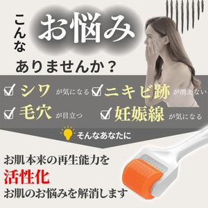 bioGenesis製DNSローラー ダーマローラー 各サイズ