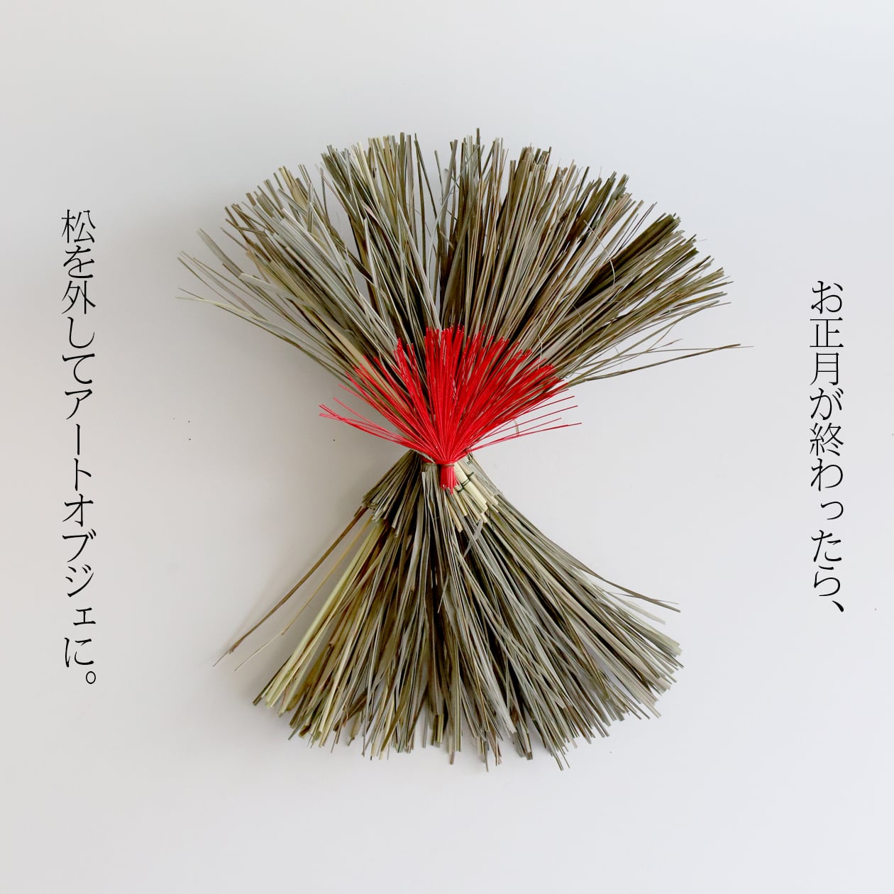 専用✨感謝sale✨迎春2022✨正月飾り レモン  (ドライ) 専用✨感謝sale✨迎春2022✨正月飾り レモン (ドライ) 専用✨感謝sale