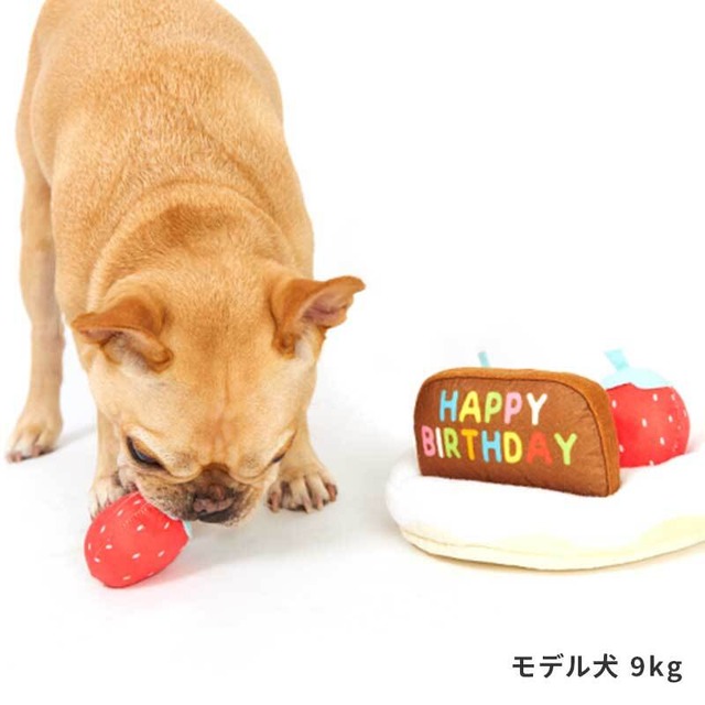 ホールケーキノーズワーク