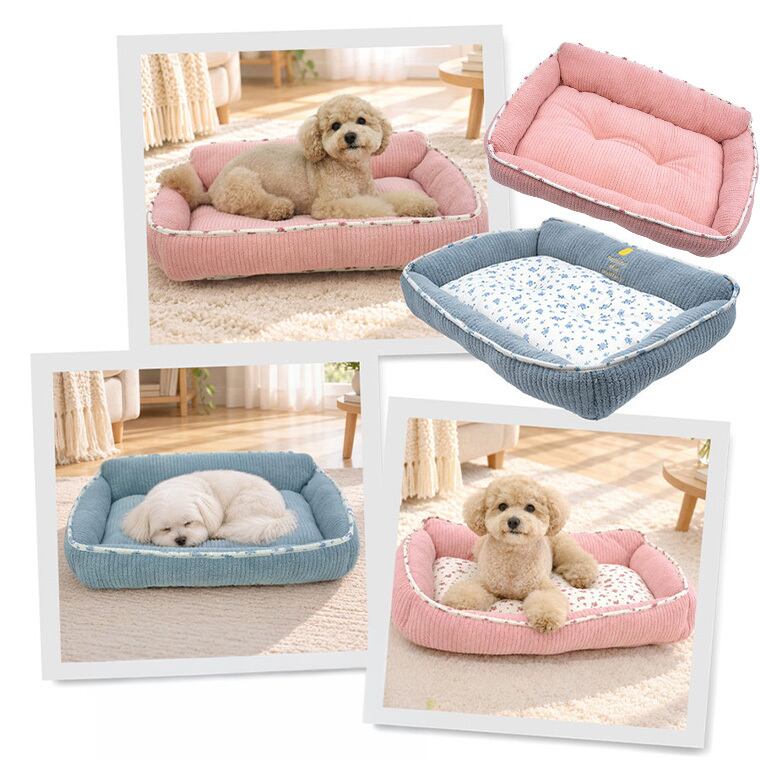 【予約販売10%OFF】jelly bear reversible bed Msize 2color / 犬用 ベッド リバーシブル 両面 ふんわり 冬 可愛い クッション ペットマット 猫用 韓国 ペット用品 小型犬 中型犬 ハウス 高級 犬 ペットベッド