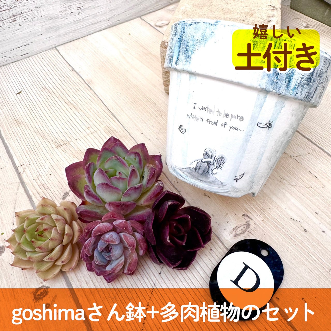 【作家goshimaさん】ストーリー鉢&多肉セット"D" 多肉植物,かわいい,おしゃれ,寄せ植え