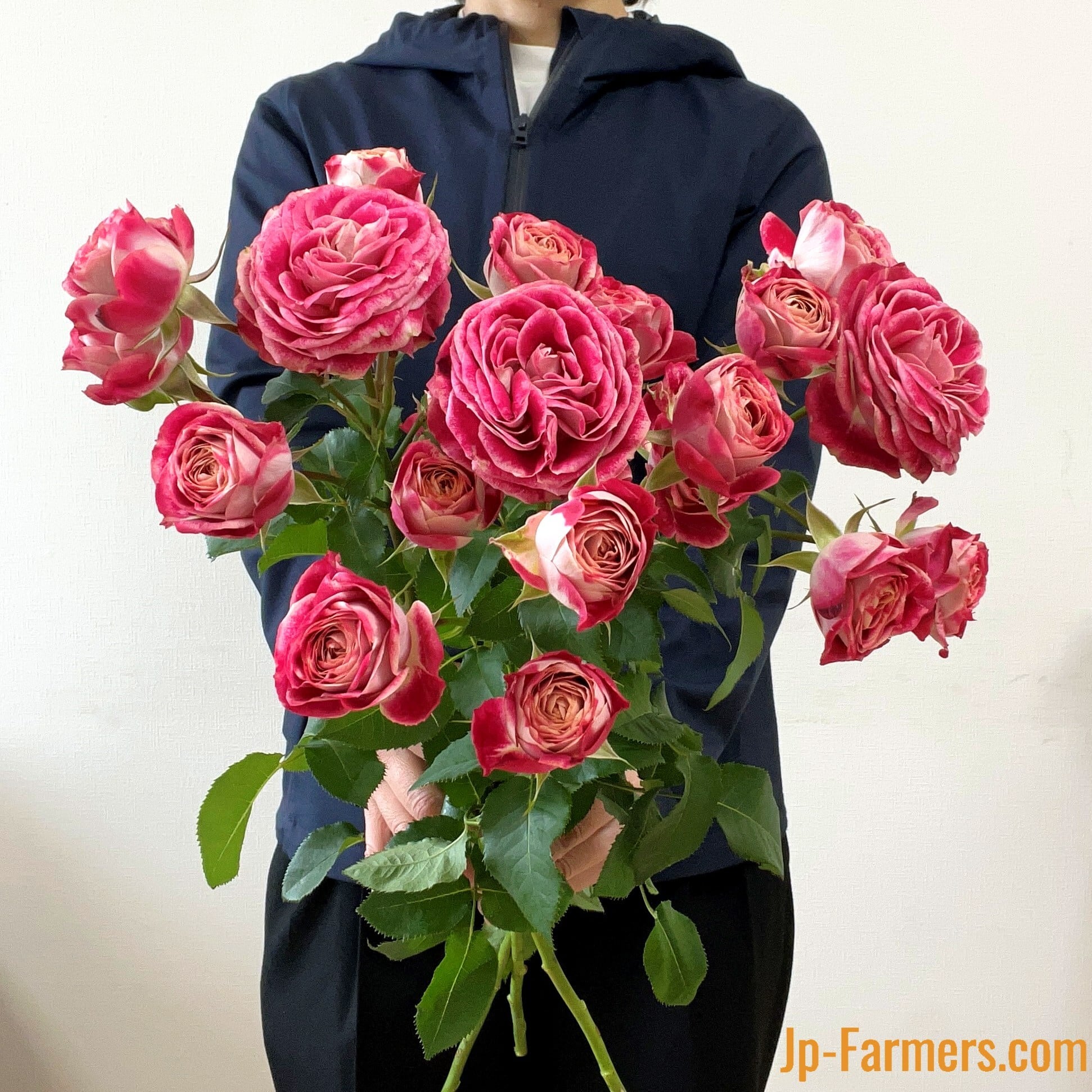 布花作品♡チャーミングな薔薇たち 名前から元気でチャーミング FINEROSE ☆SPバラ 品種名