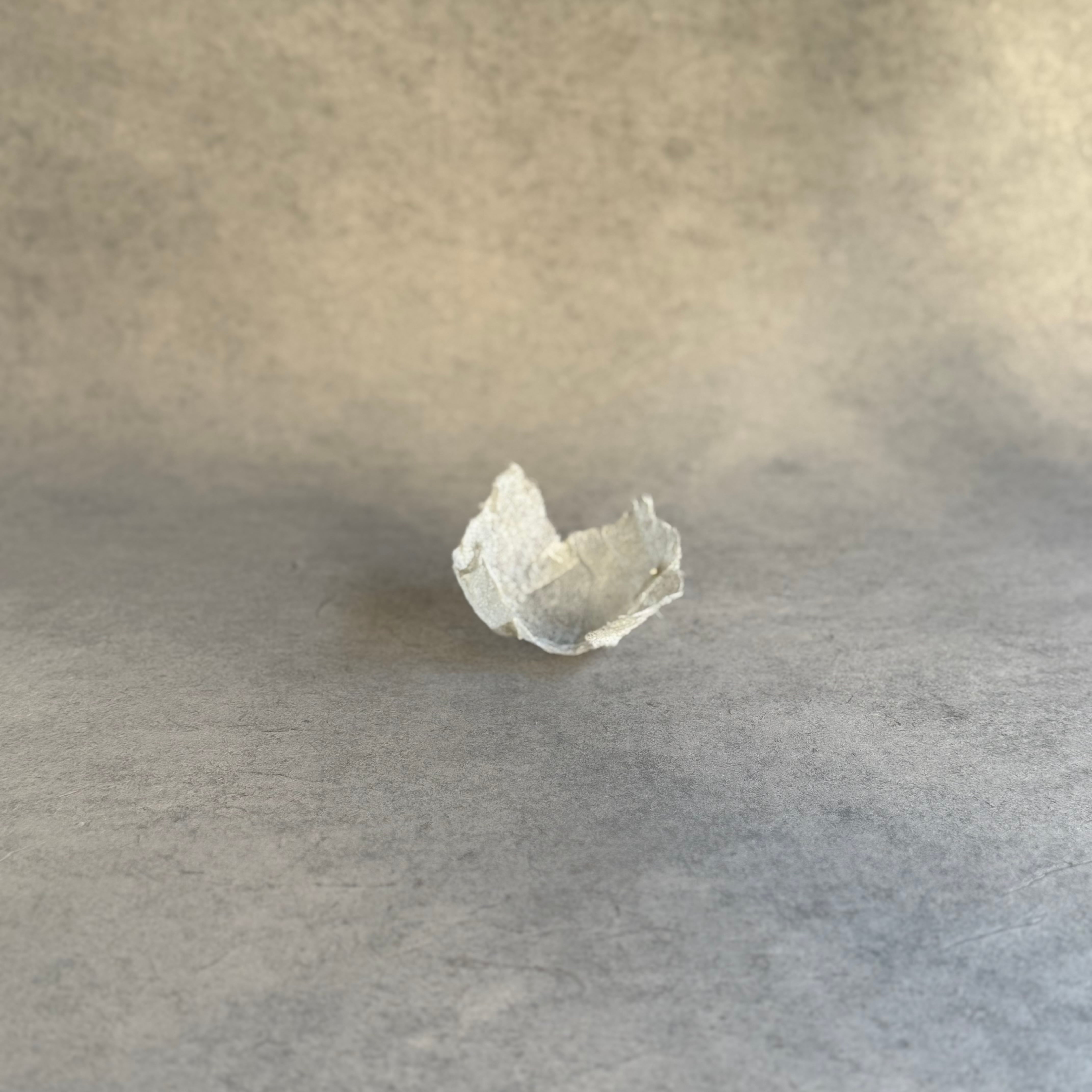 布 | gallery 一白