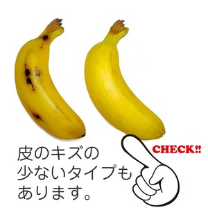 モンキーバナナ 食品サンプル ディスプレイ用