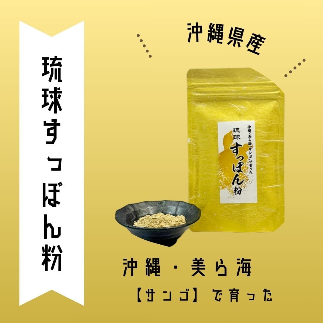 沖縄県産琉球すっぽん粉末|コラーゲン・アミノ酸たっぷり!50gパウチタイプ