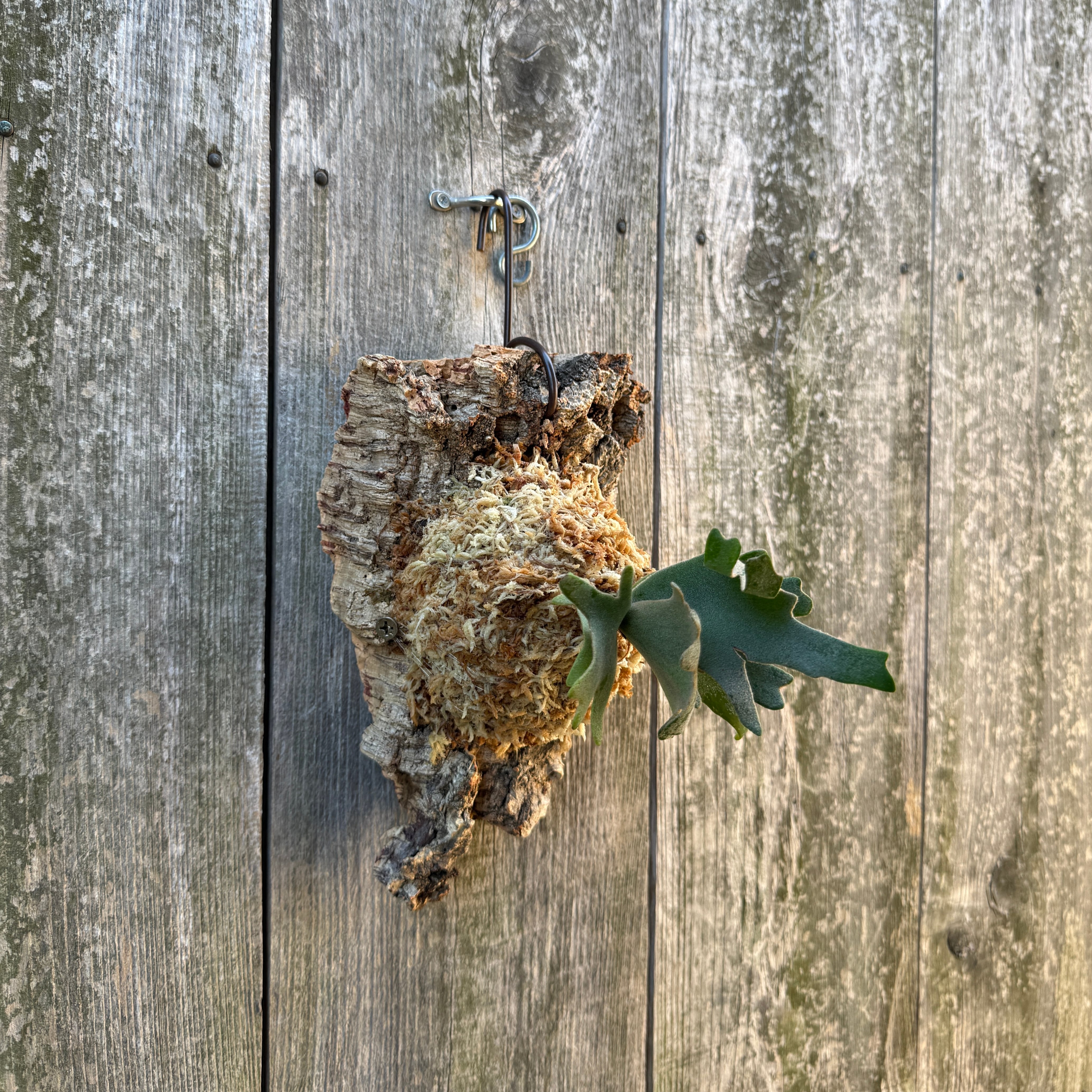 naturefix
