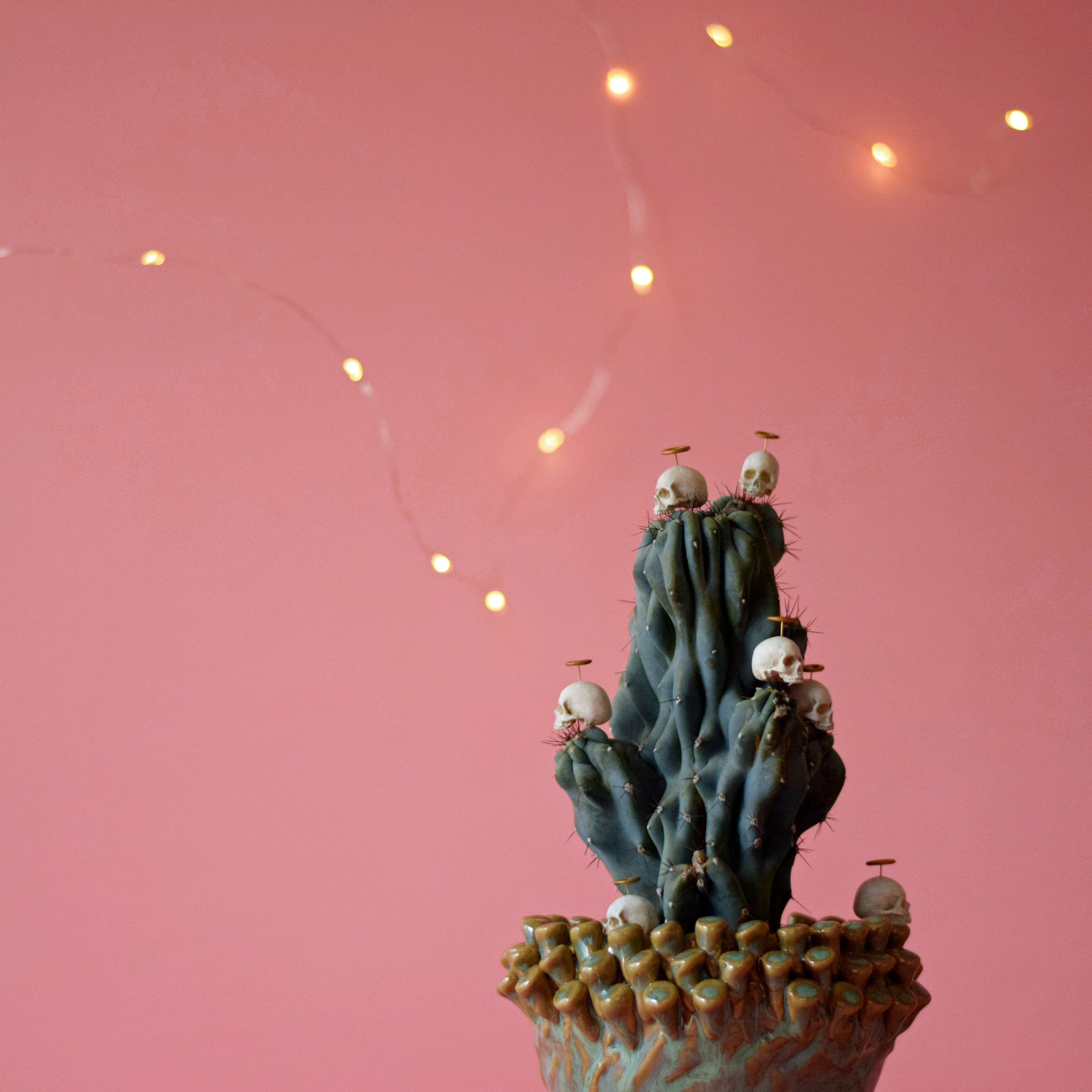 とても小さな骸骨天使 | Sabotensi