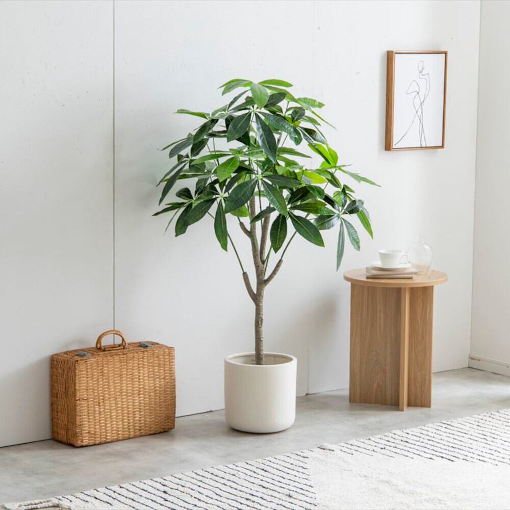 パキラ 人工観葉植物 光触媒 フェイクグリーン 195cm 観葉植物 パキラ フェイクグリーン 光触媒人工観葉植物 高さ120cm | FIGARO