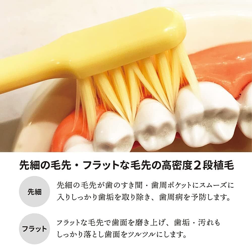 熱川バナナワニ園【別注】ライフレンジ 磨きやすい歯ブラシ 極（ばにお
