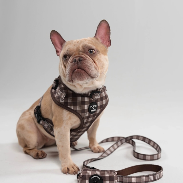 SURF DOGS & CATS アクリルキーホルダー / Designed by TAMO