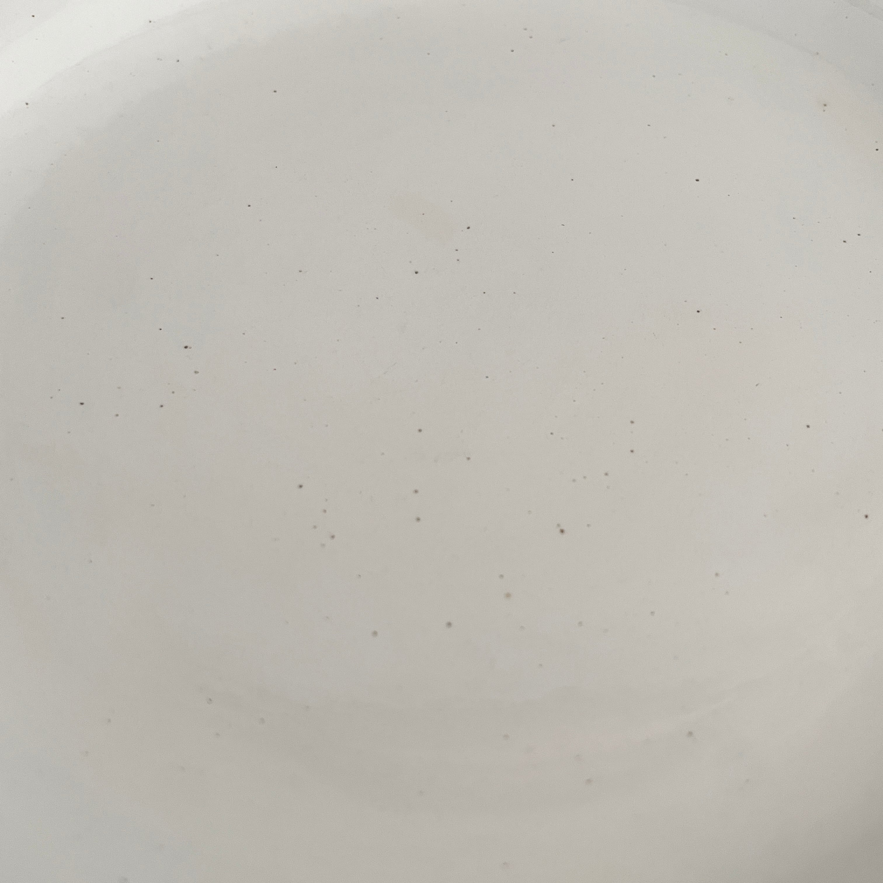 ⑯サンタマン St. Amand 花模様の皿 2枚セット ⑯サンタマン St. Amand 花模様の皿 2枚セット ⑯サンタマン St. Amand