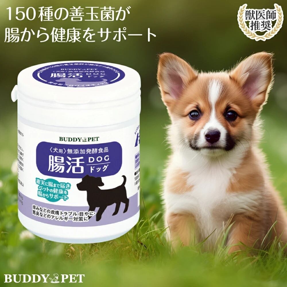 イヌ用 腸内環境 サプリメント 腸活ドッグ 100g | BUDDYPET